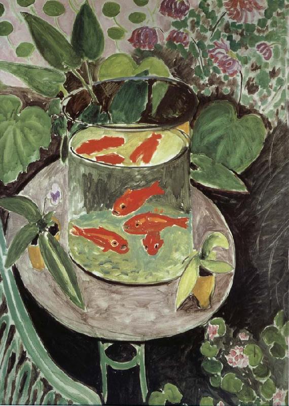 Henri Matisse Fish china oil painting image